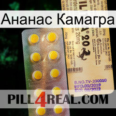 Ананас Камагра new06